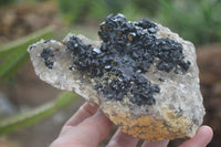 Natural Schorl Black Tourmaline Specimens  x 2 From Erongo Mountains, Namibia - TopRock