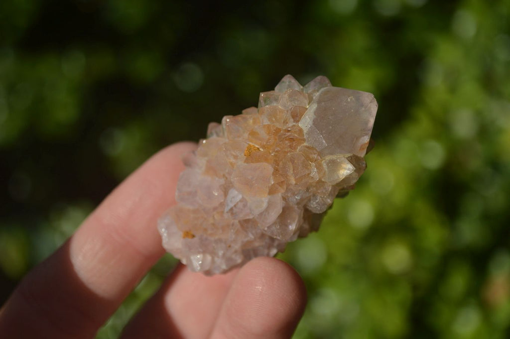 Natural Mixed Spirit Amethyst Quartz Crystals x 35 From Boekenhouthoek, South Africa - Toprock Gemstones and Minerals 