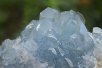 Natural Blue Celestite Crystal Specimens  x 3 From Sakoany, Madagascar - Toprock Gemstones and Minerals 