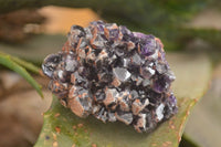 Natural Dark Amethyst Clusters (Stone Sealed) x 12 From Zambia - Toprock Gemstones and Minerals 