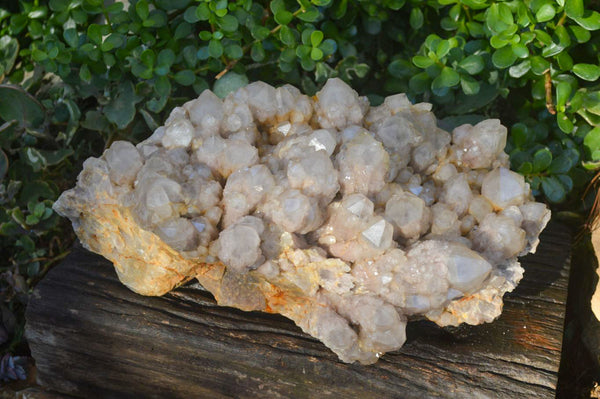Natural Giant Cascading Smokey Quartz Cluster x 1 From Luena, Congo - Toprock Gemstones and Minerals 
