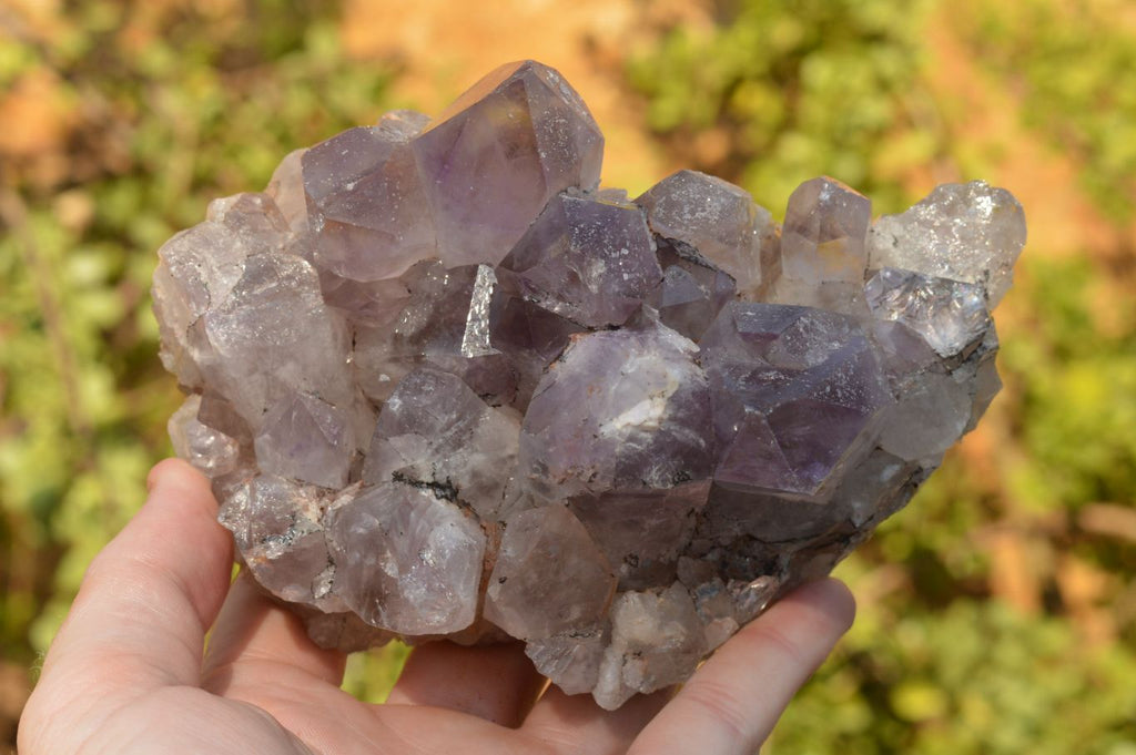 Natural Jacaranda Amethyst Clusters x 2 From Mumbwa, Zambia - TopRock