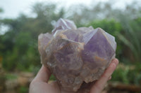 Natural Jacaranda Amethyst Cluster x 1 From Mumbwa, Zambia - TopRock