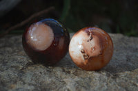 Polished Carnelian Agate Spheres  x 6 From Madagascar - Toprock Gemstones and Minerals 