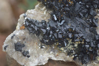 Natural Schorl Black Tourmaline Specimens  x 2 From Erongo Mountains, Namibia - TopRock