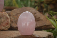 Polished Pink Rose Quartz Standing Free Forms x 2 From Ambatondrazaka, Madagascar - TopRock