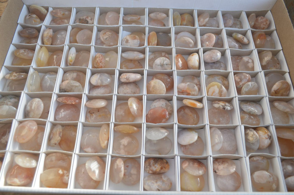 Polished Mini Ocean  Flower Agate Palm Stones  x 140 From Madagascar - Toprock Gemstones and Minerals 