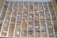 Polished Mini Ocean  Flower Agate Palm Stones  x 140 From Madagascar - Toprock Gemstones and Minerals 