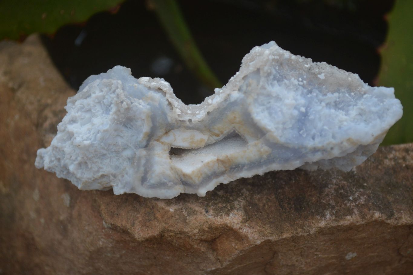 Natural Etched Blue Chalcedony Specimens x 12 From Nsanje, Malawi - Toprock Gemstones and Minerals 