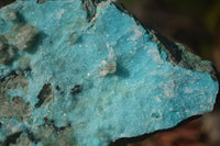 Natural Drusy Coated Chrysocolla Dolomite Specimens x 3 From Laputa Mine, Congo - Toprock Gemstones and Minerals 