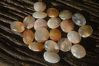 Polished Mini Ocean  Flower Agate Palm Stones  x 140 From Madagascar - Toprock Gemstones and Minerals 