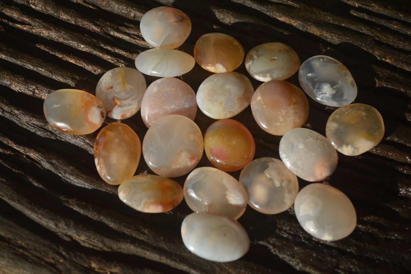 Polished Mini Ocean  Flower Agate Palm Stones  x 140 From Madagascar - Toprock Gemstones and Minerals 