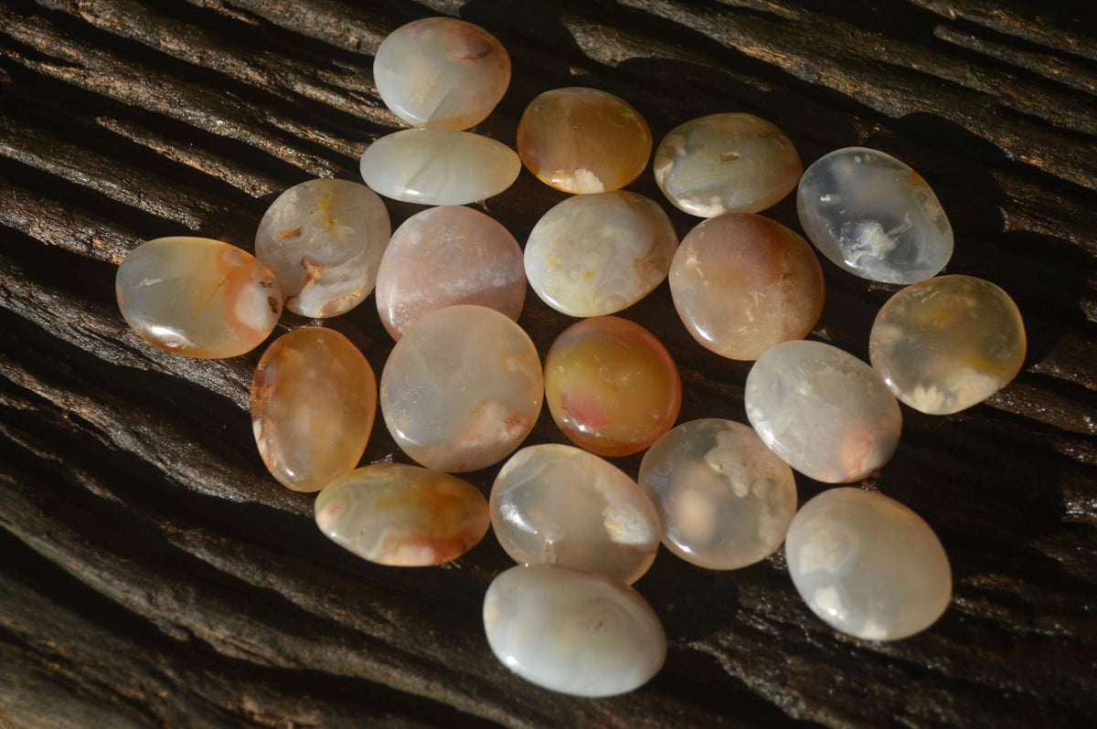 Polished Mini Ocean  Flower Agate Palm Stones  x 140 From Madagascar - Toprock Gemstones and Minerals 