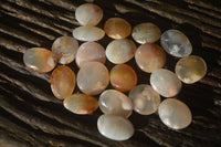 Polished Mini Ocean  Flower Agate Palm Stones  x 140 From Madagascar - Toprock Gemstones and Minerals 