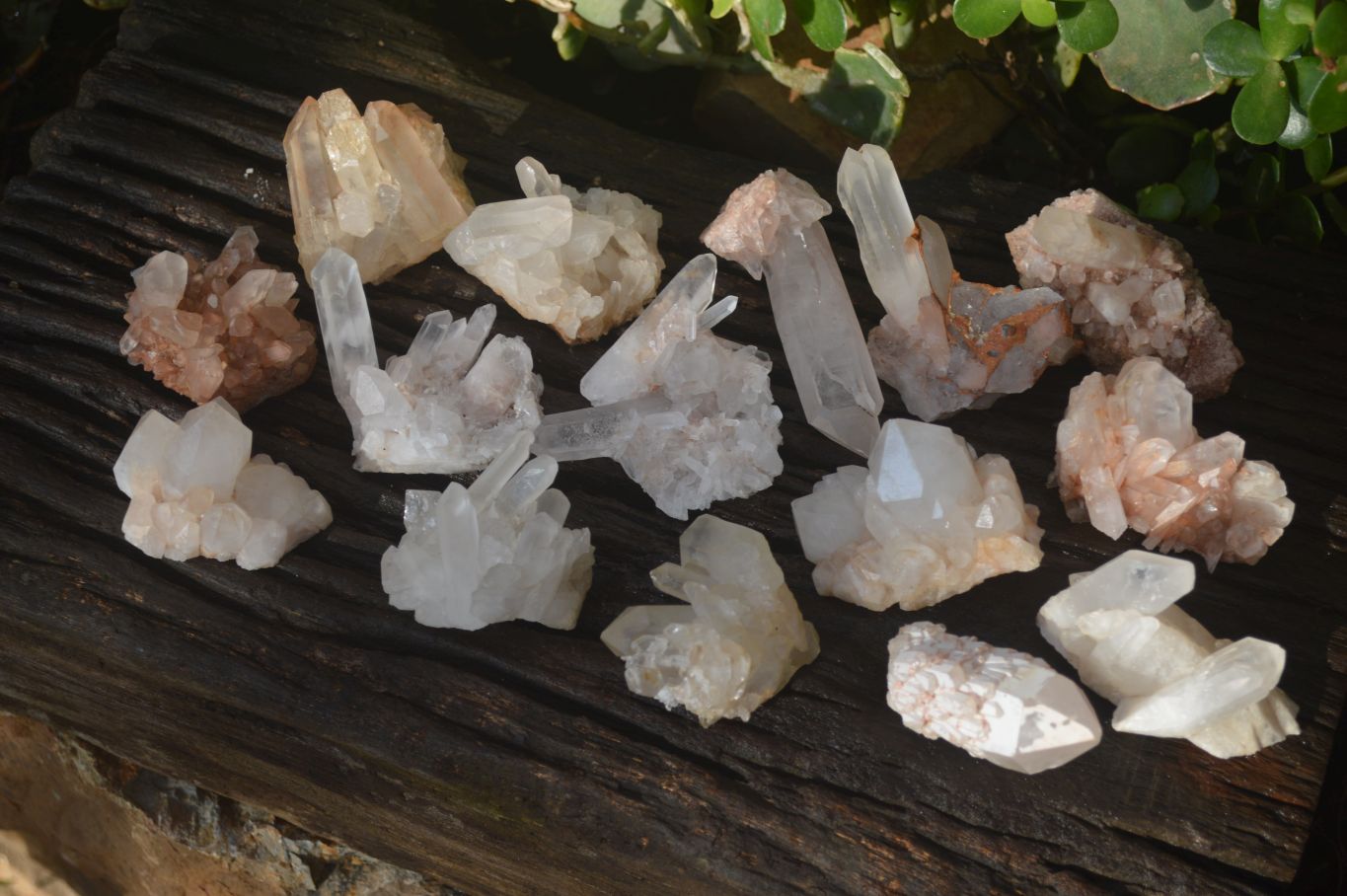 Natural Small Quartz Clusters  x 24 From Madagascar - Toprock Gemstones and Minerals 