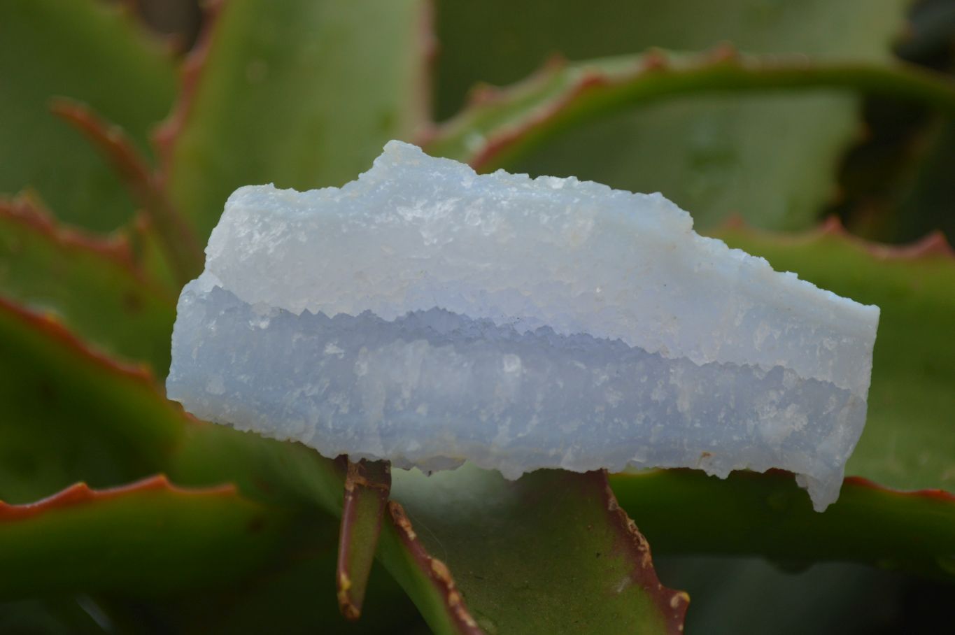 Natural Etched Blue Chalcedony Specimens x 12 From Nsanje, Malawi - Toprock Gemstones and Minerals 