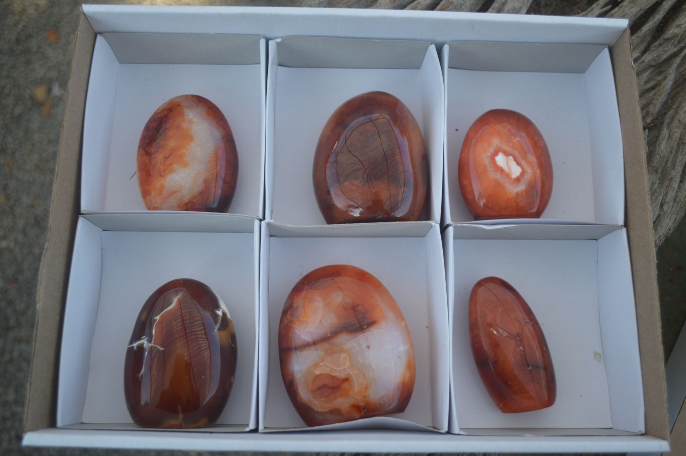 Polished Carnelian Agate Standing Free Forms  x 6 From Madagascar - Toprock Gemstones and Minerals 