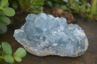 Natural Blue Celestite Crystal Specimens  x 3 From Sakoany, Madagascar - Toprock Gemstones and Minerals 