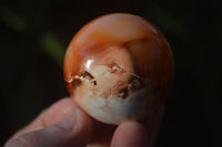 Polished Carnelian Agate Spheres  x 6 From Madagascar - Toprock Gemstones and Minerals 