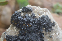 Natural Schorl Black Tourmaline Specimens  x 2 From Erongo Mountains, Namibia - TopRock
