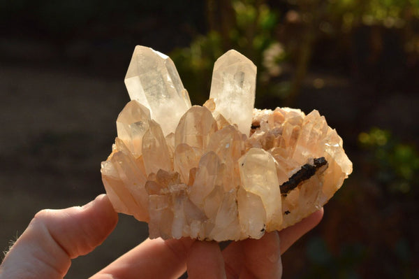 Natural Mixed Quartz Clusters With Long Clear Crystals  x 4 From Mandrosonoro, Madagascar - TopRock