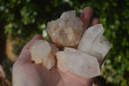 Natural Small Quartz Clusters  x 24 From Madagascar - Toprock Gemstones and Minerals 