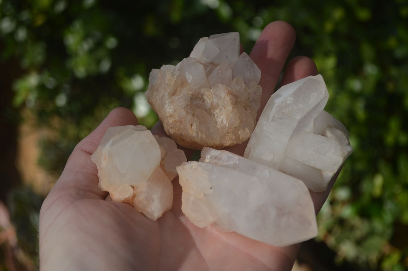 Natural Small Quartz Clusters  x 24 From Madagascar - Toprock Gemstones and Minerals 