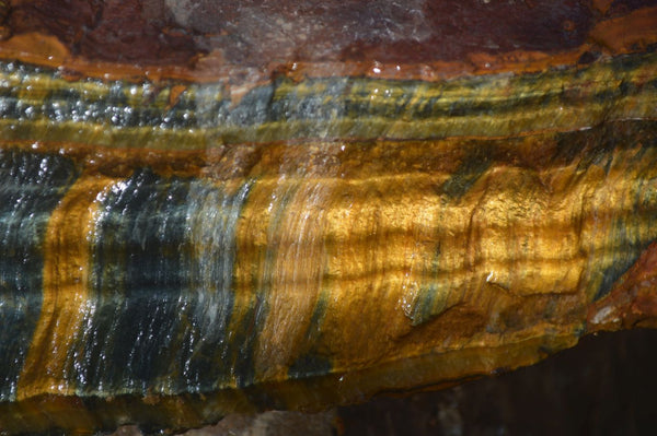 Natural Sliced Tigers Eye Specimen x 1 From Prieska, South Africa - Toprock Gemstones and Minerals 