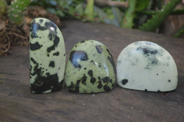 Polished Spotted Leopard Stone Standing Free Forms  x 12 From Nyanga & Shamva, Zimbabwe