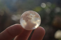 Polished Mini Ocean  Flower Agate Palm Stones  x 140 From Madagascar - Toprock Gemstones and Minerals 