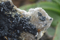 Natural Schorl Black Tourmaline Specimens  x 2 From Erongo Mountains, Namibia - TopRock