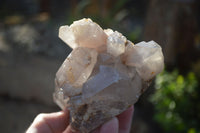 Natural Red Hematoid Quartz Clusters x 3 From Karoi, Zimbabwe - Toprock Gemstones and Minerals 