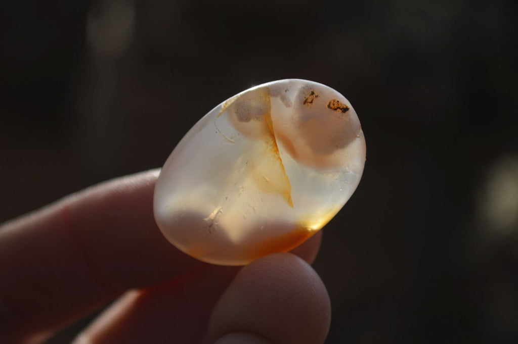 Polished Mini Ocean  Flower Agate Palm Stones  x 140 From Madagascar - Toprock Gemstones and Minerals 