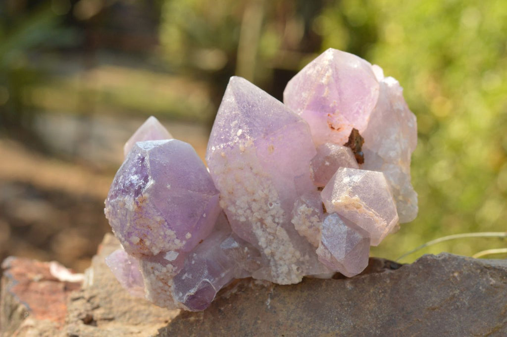 Natural Jacaranda Amethyst Clusters x 2 From Mumbwa, Zambia - TopRock