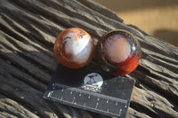 Polished Carnelian Agate Spheres  x 6 From Madagascar - Toprock Gemstones and Minerals 