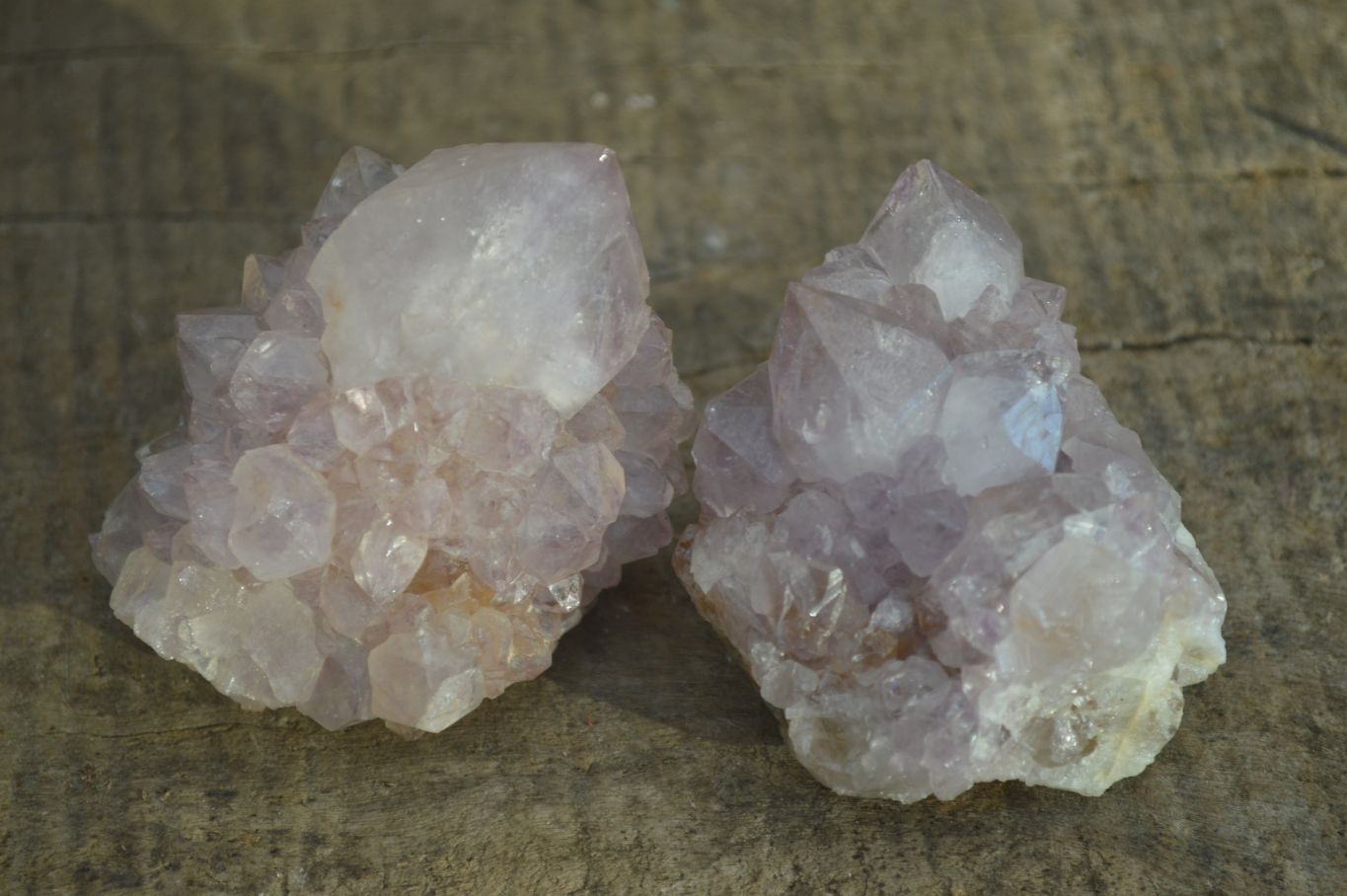 Natural Spirit Amethyst Cactus Quartz Clusters x 12 From Boekenhouthoek, South Africa - Toprock Gemstones and Minerals 