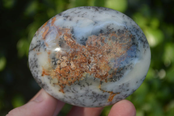 Polished Stunning Dendritic Opal Palm Stones  x 12 From Madagascar - Toprock Gemstones and Minerals 