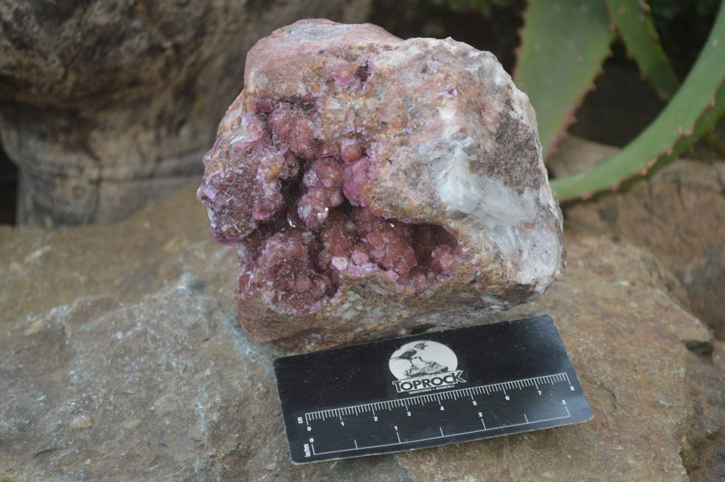 Natural Pink Salrose Cobaltion Dolomite Specimens  x 3 From Kakanda, Congo - Toprock Gemstones and Minerals 
