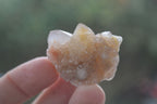 Natural Small White Spirit Quartz Crystals x 70 From Boekenhouthoek, South Africa - Toprock Gemstones and Minerals 