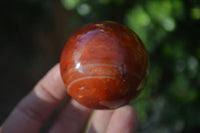 Polished Carnelian Agate Spheres  x 6 From Madagascar - Toprock Gemstones and Minerals 