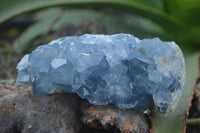 Natural Blue Celestite Crystal Specimens  x 3 From Sakoany, Madagascar - Toprock Gemstones and Minerals 