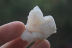 Natural Small White Spirit Quartz Crystals x 70 From Boekenhouthoek, South Africa - Toprock Gemstones and Minerals 