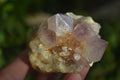 Natural Spirit Amethyst Cactus Quartz Clusters x 12 From Boekenhouthoek, South Africa - Toprock Gemstones and Minerals 
