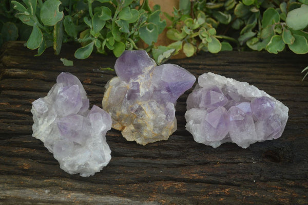 Natural Jacaranda Amethyst Clusters  x 3 From Mumbwa, Zambia - Toprock Gemstones and Minerals 