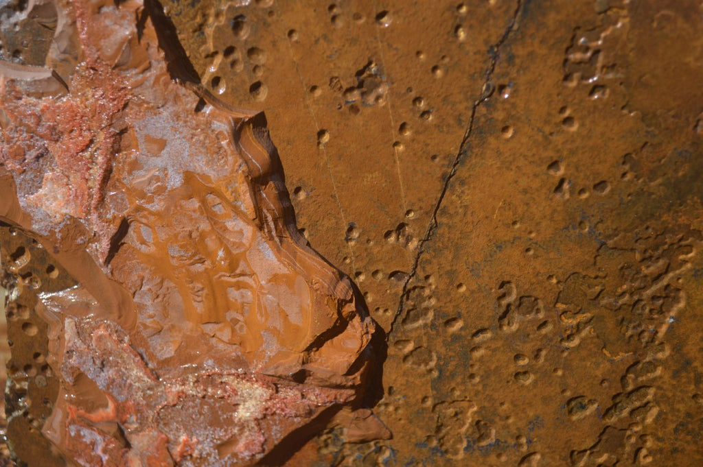 Natural Sliced Tigers Eye Specimen x 1 From Prieska, South Africa - Toprock Gemstones and Minerals 