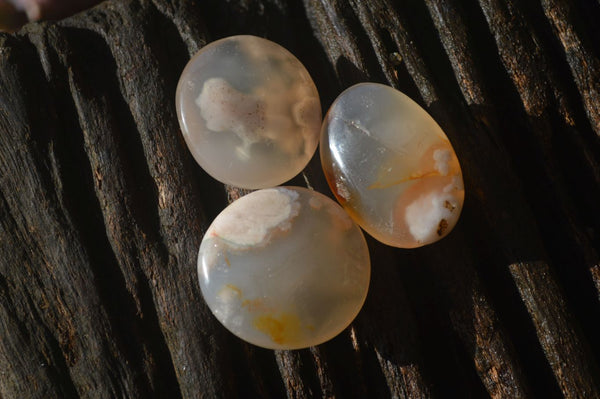 Polished Mini Ocean  Flower Agate Palm Stones  x 140 From Madagascar - Toprock Gemstones and Minerals 