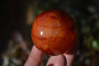Polished Carnelian Agate Spheres  x 6 From Madagascar - Toprock Gemstones and Minerals 