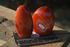 Polished Carnelian Agate Standing Free Forms  x 6 From Madagascar - Toprock Gemstones and Minerals 