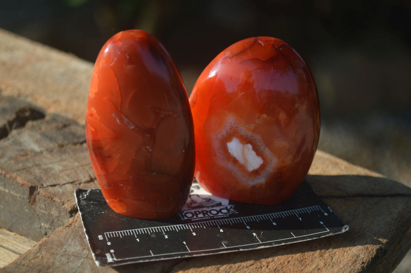 Polished Carnelian Agate Standing Free Forms  x 6 From Madagascar - Toprock Gemstones and Minerals 