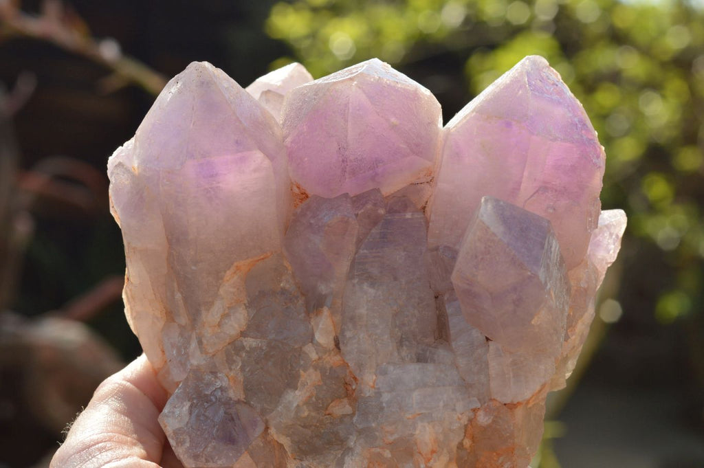 Natural Jacaranda Amethyst Clusters x 2 From Mumbwa, Zambia - TopRock